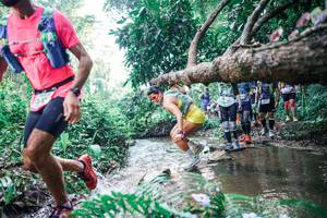 BIB: 
                            <button type="button" onclick="openModal(25455898)" class="btn btn-primary btn-sm float-right btn-popup" data-toggle="modal" data-target=".modal-high-quality">
                        <i class="fas fa-shopping-cart"></i> Add to Cart
                    </button>
                                            <button type="button" onclick="isThisMe(25455898, true)" class="btn btn-success btn-sm float-right btn-popup btn-isme hidden" data-toggle="tooltip" data-placement="bottom" title="นี่คือรูปของคุณใช่ไหม คลิกที่นี่เพื่อเอาเข้าอัลบั้ม">
                        <i class="fas fa-plus"></i> Add to album
                    </button>
                    <button type="button" onclick="isThisMe(25455898, false)" class="btn btn-warning btn-sm float-right btn-popup btn-isnotme hidden">
                        <i class="fas fa-ban"></i> Remove from album
                    </button>